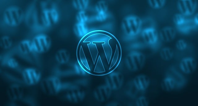 Τεχνική υποστήριξη WordPress